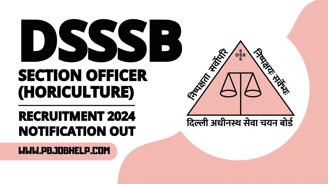 DSSSB_Recruitment_2024_Notification_out